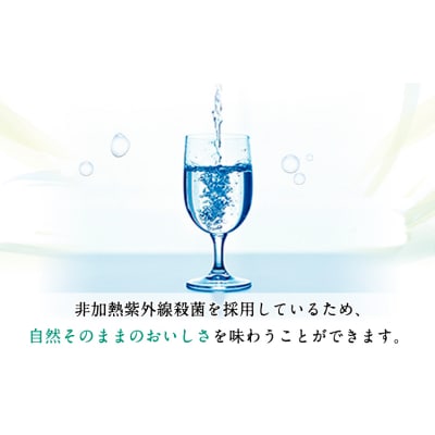 【6ヶ月定期便】「南阿蘇・白川水源」定期便6ヶ月 2L×6本入2ケース《申込み翌月から発送》