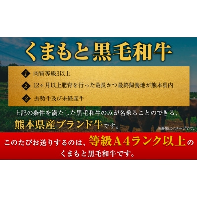 くまもと黒毛和牛 サーロイン ローススライス 600g  《30日以内に出荷予定(土日祝除く)》