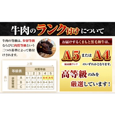 くまもと黒毛和牛 サーロイン ローススライス 600g  《30日以内に出荷予定(土日祝除く)》