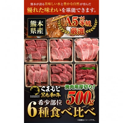 くまもと黒毛和牛 希少部位 6種盛り合わせ 500g《30日以内に出荷予定(土日祝除く)》