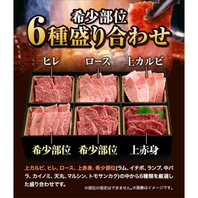 くまもと黒毛和牛 希少部位 6種盛り合わせ 500g《30日以内に出荷予定(土日祝除く)》