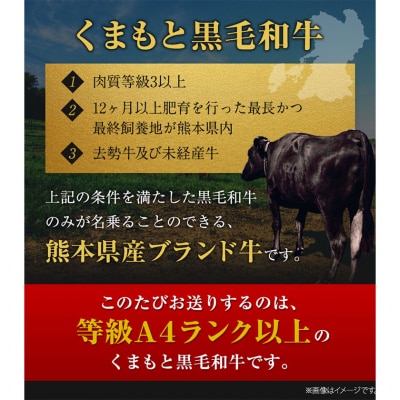 くまもと黒毛和牛 希少部位 6種盛り合わせ 500g《30日以内に出荷予定(土日祝除く)》