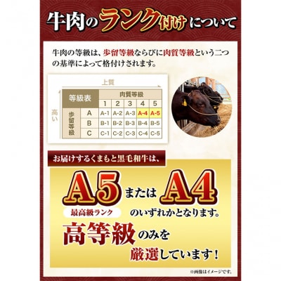 くまもと黒毛和牛 希少部位 6種盛り合わせ 500g《30日以内に出荷予定(土日祝除く)》