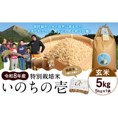 令和8年産 特別栽培米 いのちの壱 玄米 5kg 雑穀米付き
