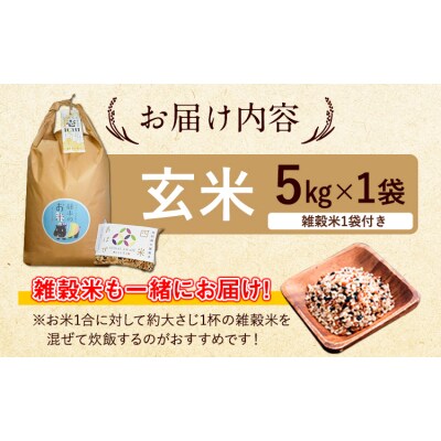令和8年産 特別栽培米 いのちの壱 玄米 5kg 雑穀米付き