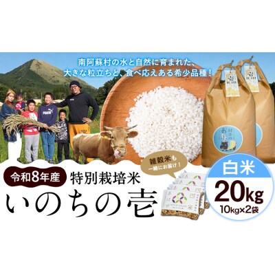 令和8年産 特別栽培米 いのちの壱 白米 20kg (10kg×2袋) 雑穀米付き
