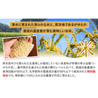 令和8年産 特別栽培米 いのちの壱 白米 20kg (10kg×2袋) 雑穀米付き