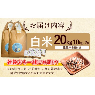 令和8年産 特別栽培米 いのちの壱 白米 20kg (10kg×2袋) 雑穀米付き