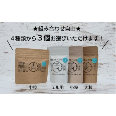 【四国一小さなまちのお塩】 塩職人 田野屋青蜂 完全天日塩 ★ 4種類から選べる ★ 3個セット