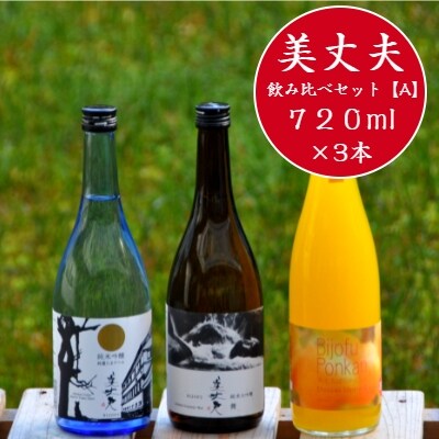 【四国一小さなまちの地酒】美丈夫 720ml×3本飲み比べセット ～A～