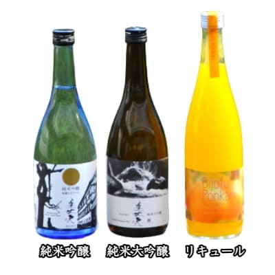 【四国一小さなまちの地酒】美丈夫 720ml×3本飲み比べセット ～A～