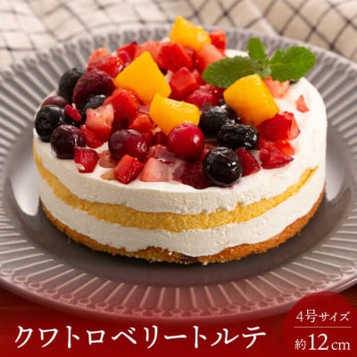 ベリーのトルテとパウンドケーキ 2種セット 糸島/五洋食品産業 ケーキ スイーツ [AQD037]