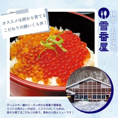 2025～2026 ぴっぷスキー場1日券(シニア65歳以上/小人)