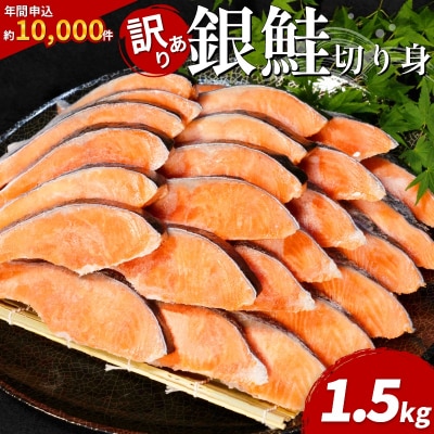 訳あり 銀鮭 切り身 1.5kg 冷凍鮭 切り身 冷凍 切身 サイズ 不揃い 規格外 鮭