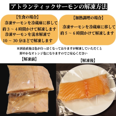アトランティックサーモン 計900g(切り落とし付き) 冷凍  鮭 刺し身 魚 人気 