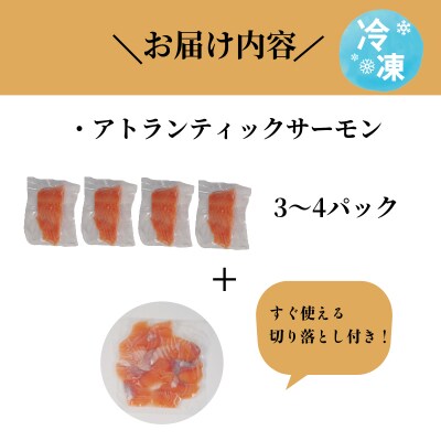アトランティックサーモン 計900g(切り落とし付き) 冷凍  鮭 刺し身 魚 人気 
