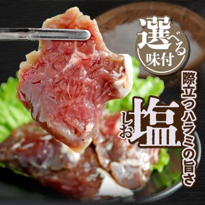 牛ハラミ 塩漬けダレ 1.2kg (400g×3pc)