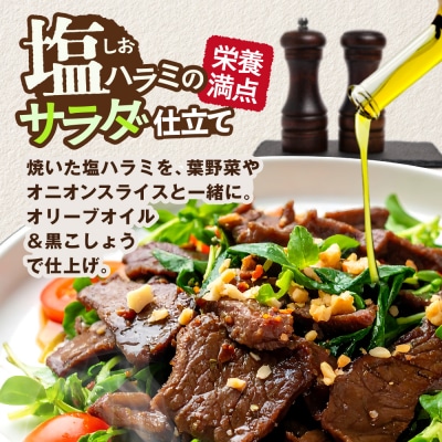 牛ハラミ 塩漬けダレ 1.2kg (400g×3pc)