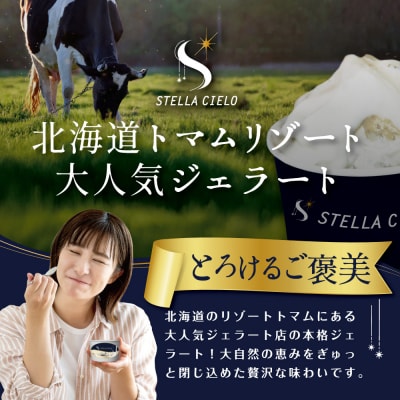 STELLA CIELO 北海道ジェラート4個 フルーティー
