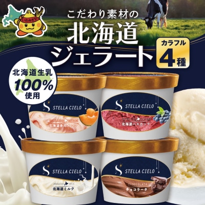 STELLA CIELO 北海道ジェラート4個 カラフル