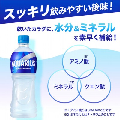アクエリアス 300ml 1ケース 24本 スポーツドリンク ペットボトル[54171231]