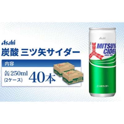 炭酸 三ツ矢サイダー 250ml × 40本 (20本× 2ケース ) [54170119]