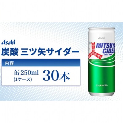 炭酸 三ツ矢サイダー 250ml × 30本 ( 1ケース ) [54171134]