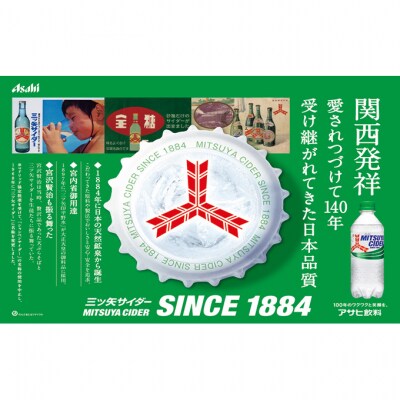 炭酸 三ツ矢サイダー 250ml × 30本 ( 1ケース ) [54171134]