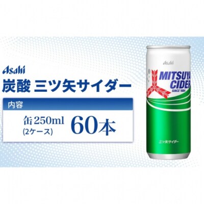 炭酸 三ツ矢サイダー 250ml × 60本 (30本× 2ケース ) [54171135]