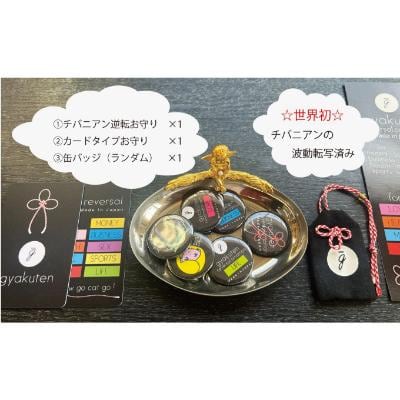 チバニアン逆転お守り
