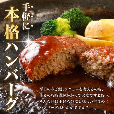 成城石井 ハンバーグステーキ プレーン 6個セット