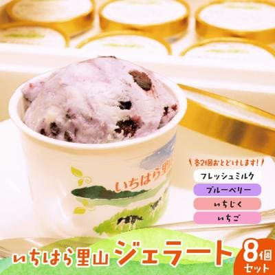いちはら里山ジェラート4種詰め合わせ8個入り