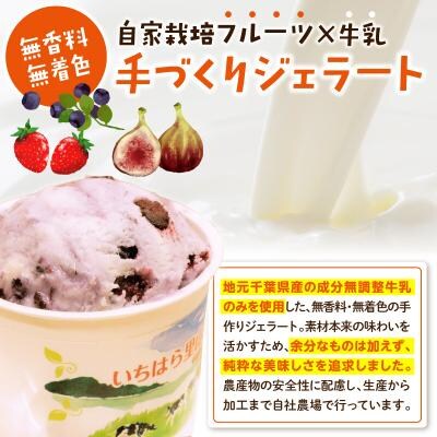 いちはら里山ジェラート4種詰め合わせ8個入り