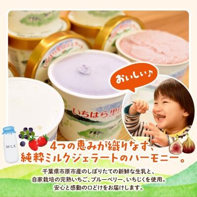 いちはら里山ジェラート4種詰め合わせ8個入り