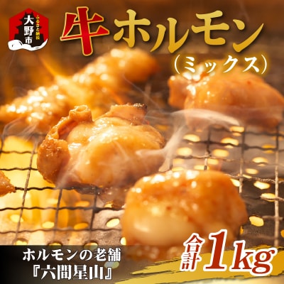 ホルモンの老舗 六間星山の牛ホルモン(ミックス)500g×2袋 計1kg