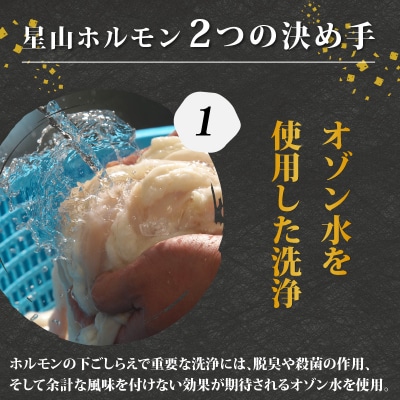 ホルモンの老舗 六間星山の牛ホルモン(ミックス)500g×2袋 計1kg