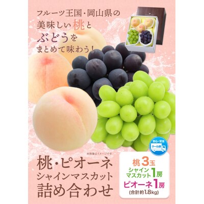岡山県産 桃とぶどうの詰め合わせ≪桃・ピオーネ・シャインマスカット≫　令和8年産先行受付　H-24a