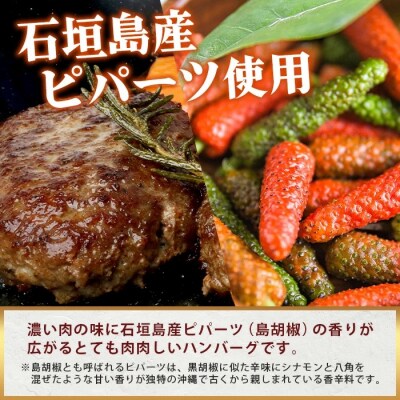 石垣島産 黒毛和牛 生ハンバーグ 120g x 6個