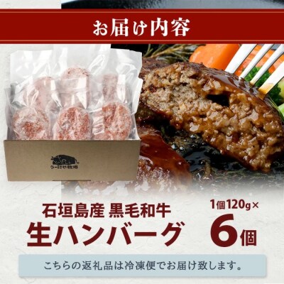 石垣島産 黒毛和牛 生ハンバーグ 120g x 6個