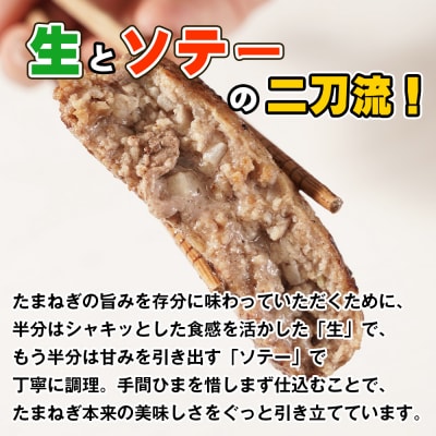 淡路島たまねぎのびっくり旨みハンバーグ 200g×26個 ※13個入×2箱　am09002