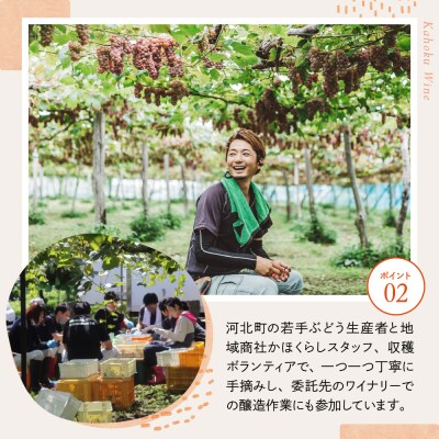 【河北町産ぶどう100%使用・微発泡デラウェアワイン】Delaware 2025(750ml×1本)