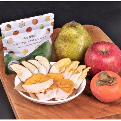 【2026年1月中旬から発送】のら農園のドライフルーツチョコレート　0123-2501