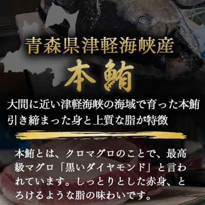 津軽海峡産マグロ　中トロブツ切・赤身ブツ切セット　各200g
