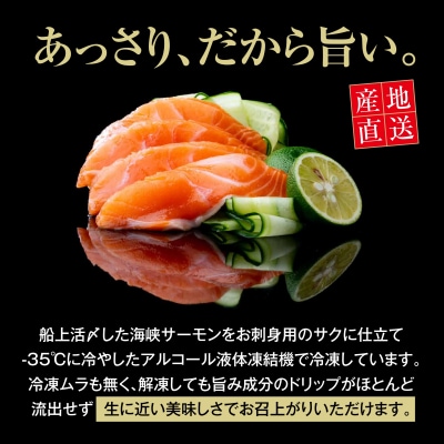 【期間限定発送】海峡サーモン　活〆お刺身さく2本 800g