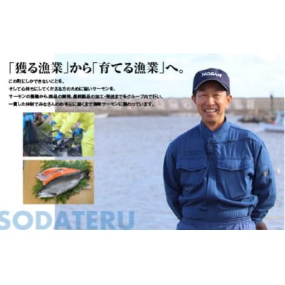 【期間限定発送】海峡サーモン船上活〆3.0kg1本 (冷蔵)