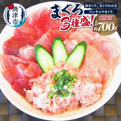 カネト平田 刺身 用 まぐろ 3種盛約700g(a10-599)