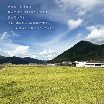 老舗肉屋のデミグラスソースハンバーグ 150g×12個