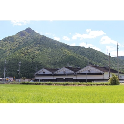 こだわりの国産丸大豆醤油とむらさきの滴詰め合わせ　514