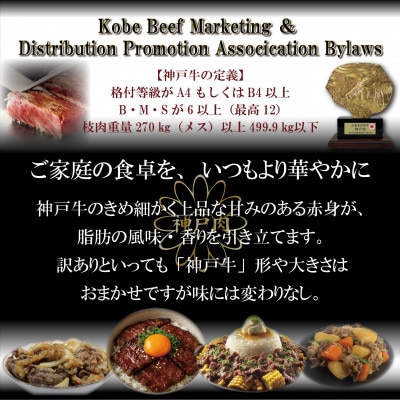 訳あり 神戸牛 切り落とし肉 400g×2 計800g TKS1-2 【2026年4月より順次発送】