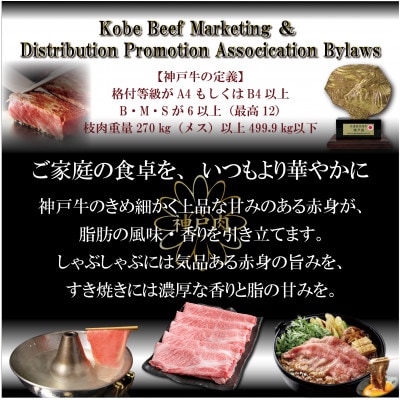 神戸牛 すき焼き用&切り落とし肉セット 計900g TKS3 【2026年4月より順次発送】